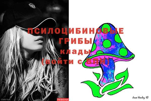 сатива Арсеньев
