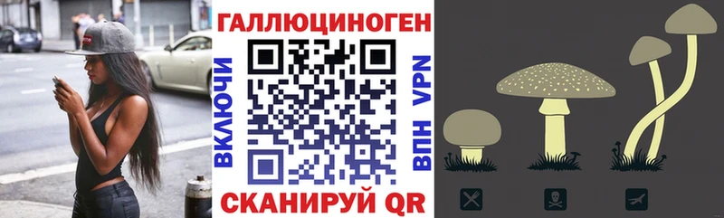 Галлюциногенные грибы Psilocybe  Ирбит 