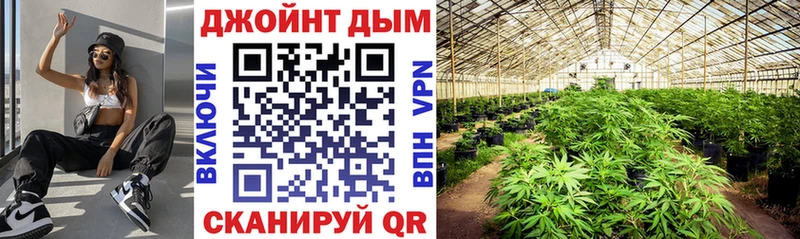 Бошки Шишки SATIVA & INDICA  гидра ССЫЛКА  Ирбит 